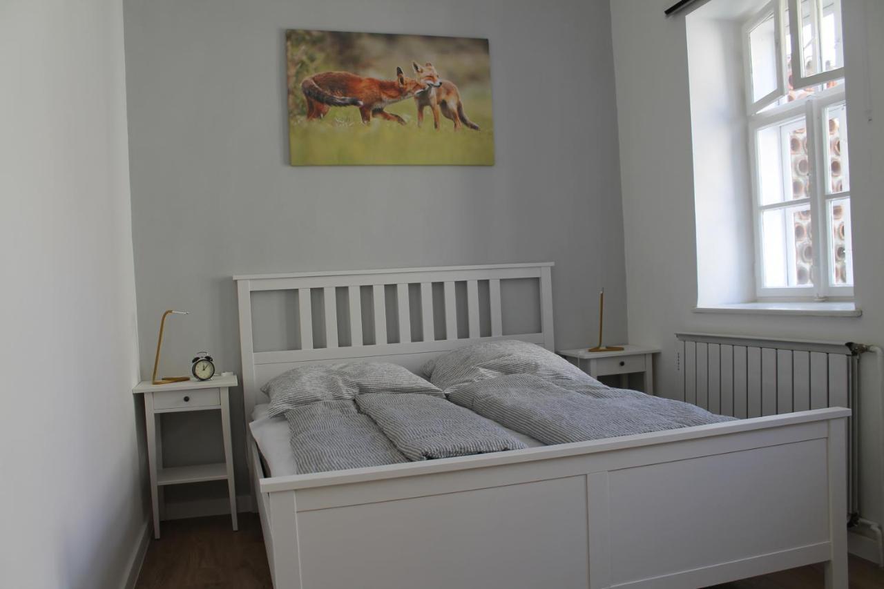 Zwinger Apartman 索普隆 外观 照片