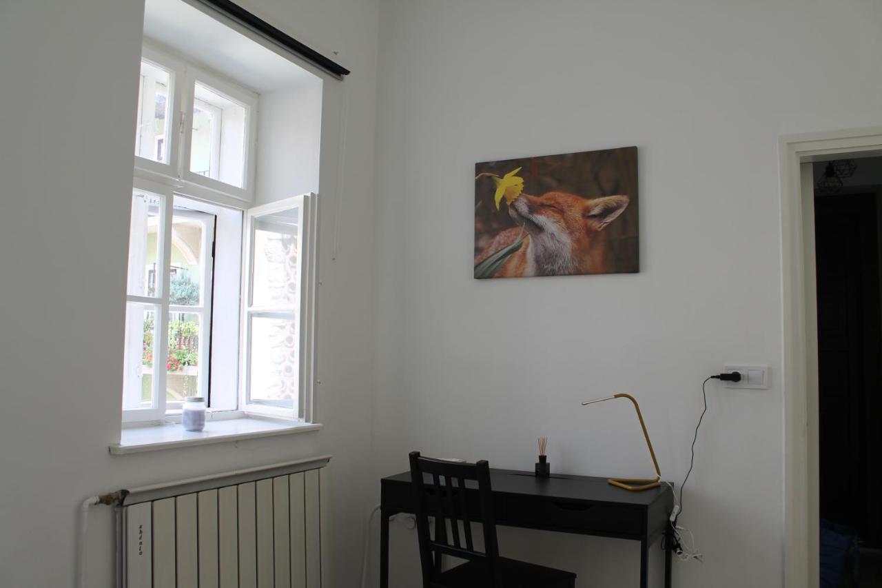 Zwinger Apartman 索普隆 外观 照片