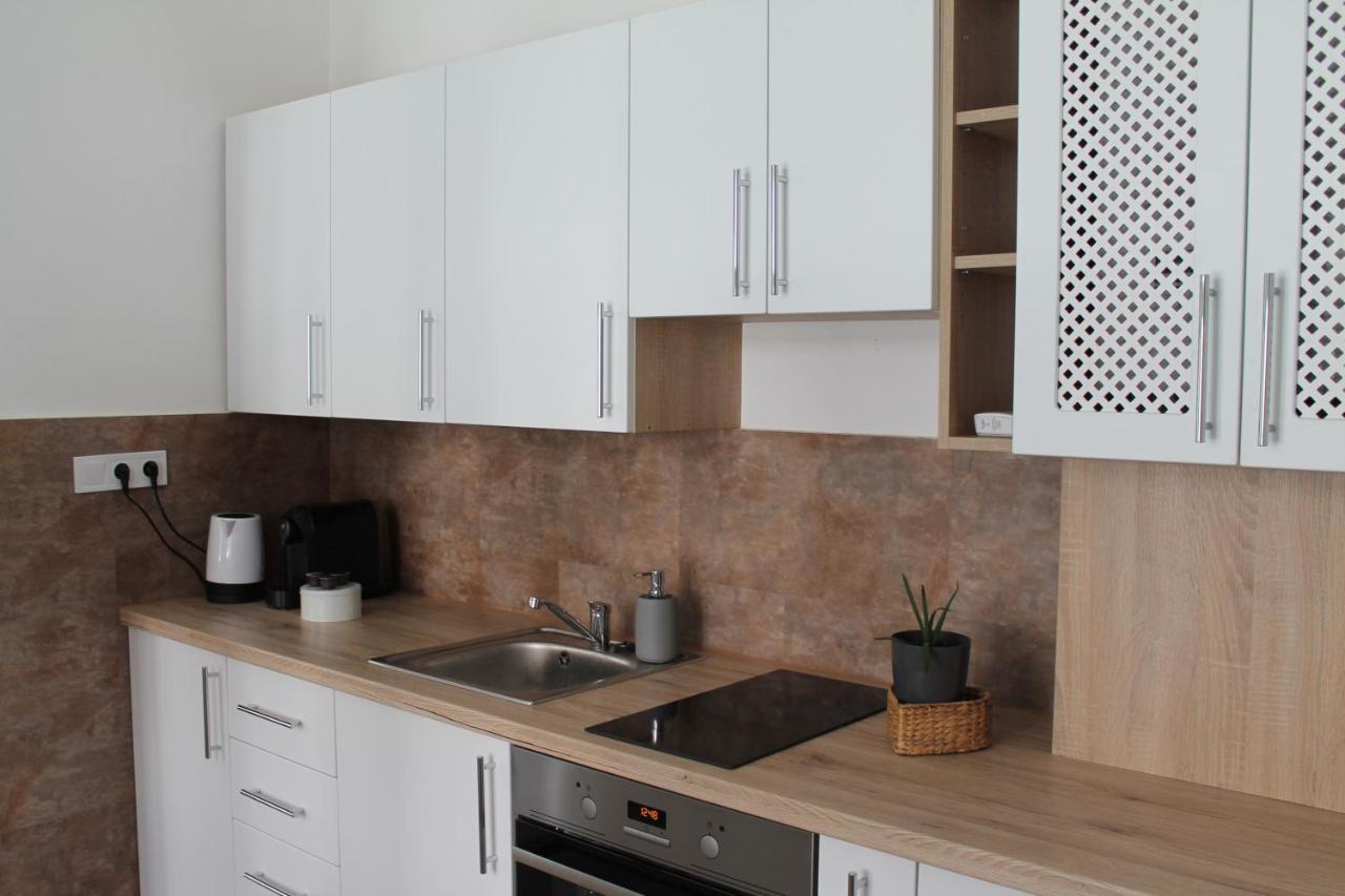 Zwinger Apartman 索普隆 外观 照片