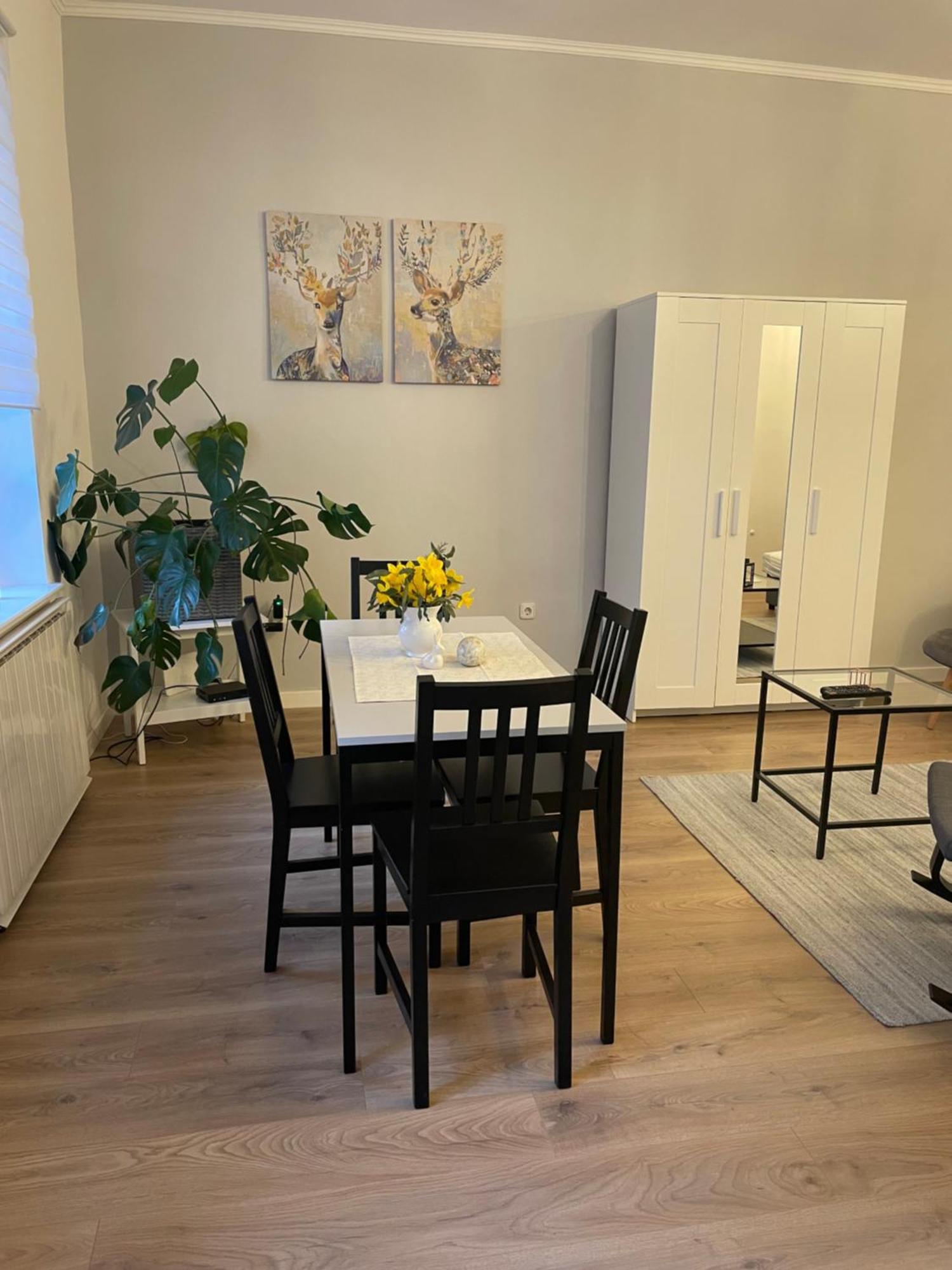 Zwinger Apartman 索普隆 外观 照片